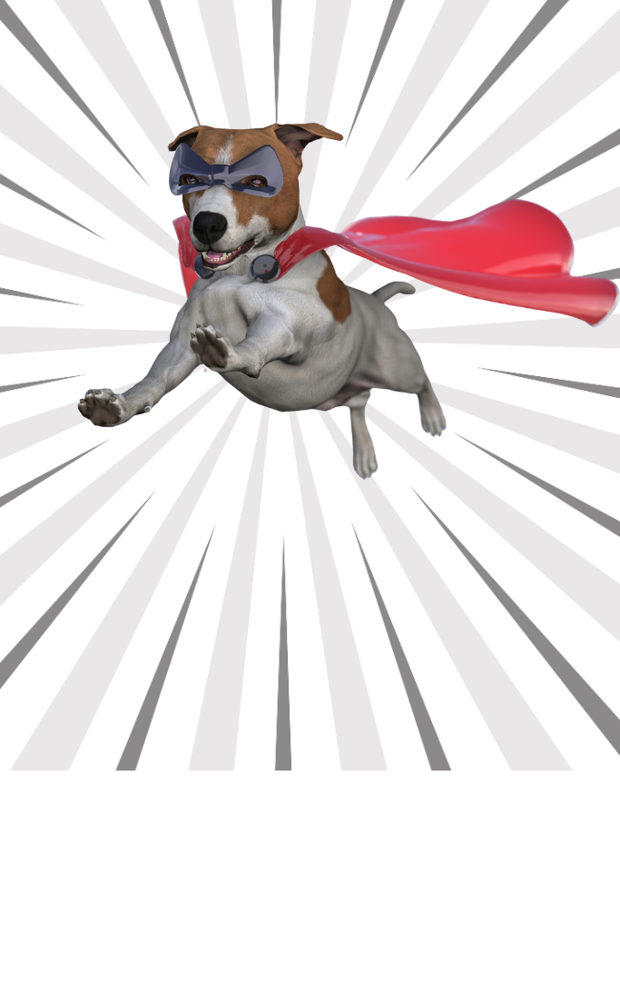 dog wearing a cape flying through the air with excitement