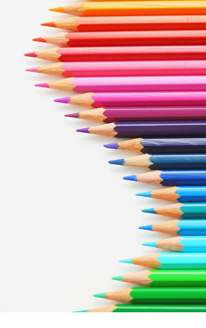 a row of colored pencils 